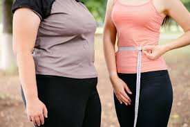 THE WEIGHT LOSS SYSTEM